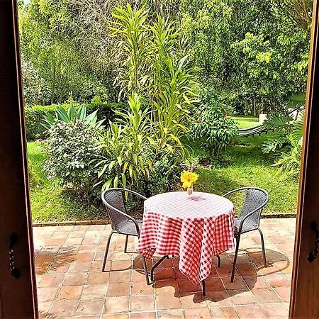 Hacienda El Pinar Del Viento Bed & Breakfast Виля Де Лейва Екстериор снимка